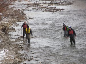 Calgarians Dipped Their Toes in Some Citizen Science to Count Redds