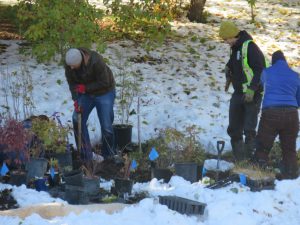 From Surprise Snowbank to Restored Riverbank
