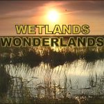 Wetlands Wonderlands Video