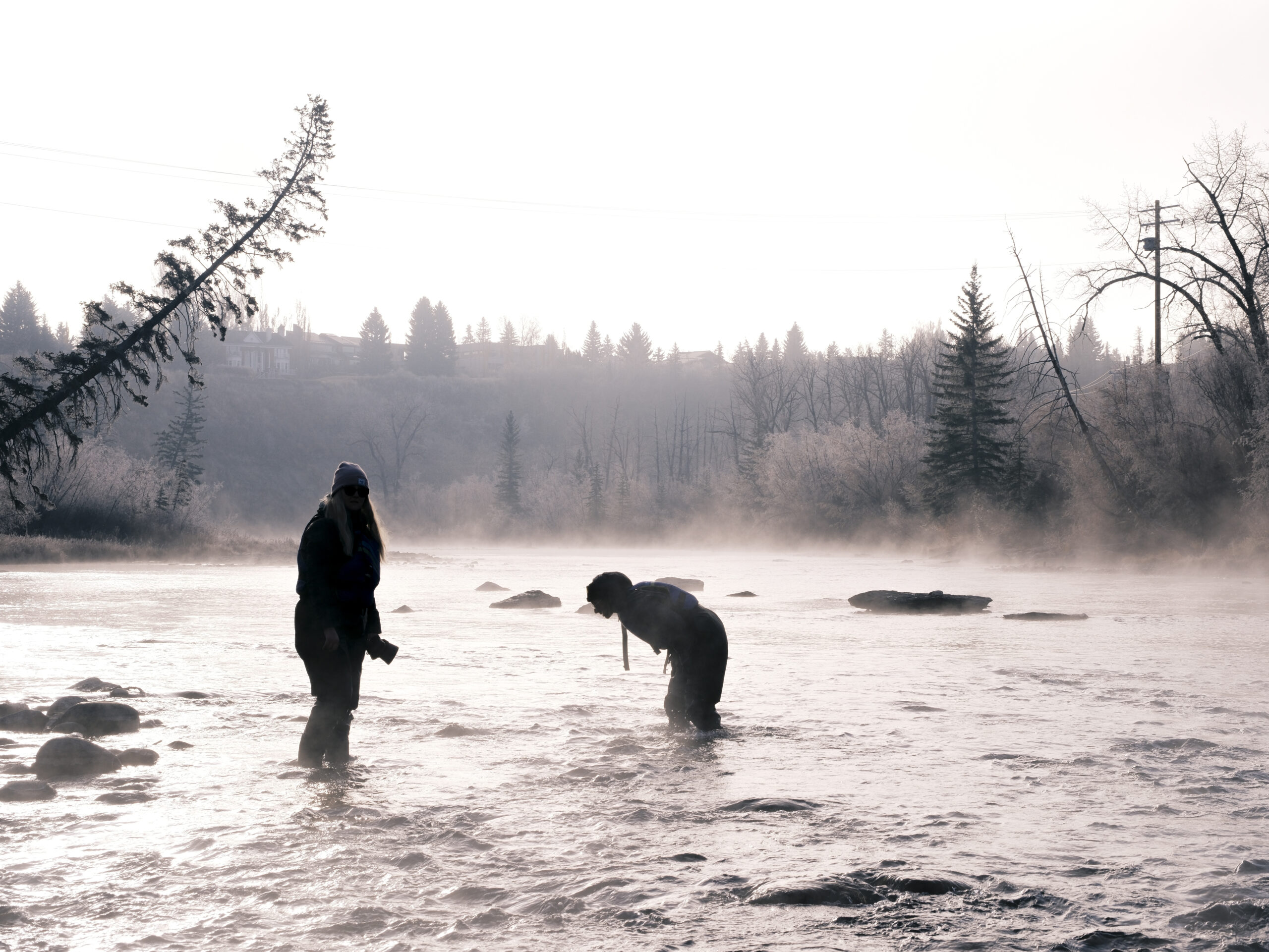 Hunting for Brown Trout spawning nests in Elbow River 2024-11-01